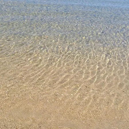 Lejlighed Tropical House